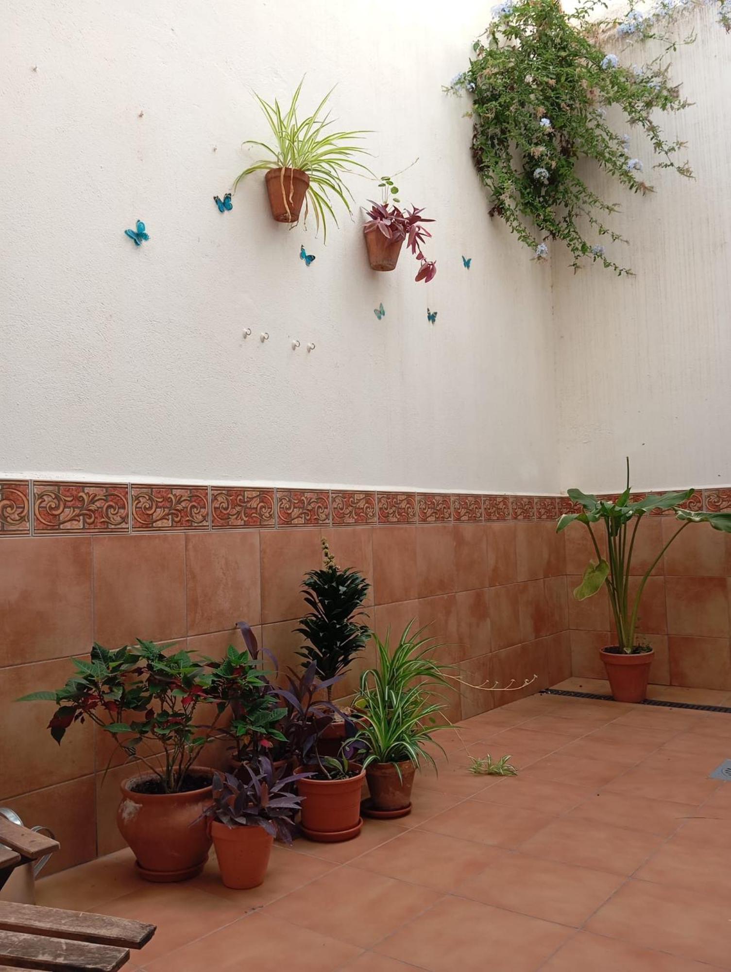 Apartamento Amapola Málaga Exteriör bild